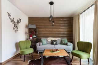 Chalets Royal, Tatranská Lomnica - Tatranská Lomnica - 3