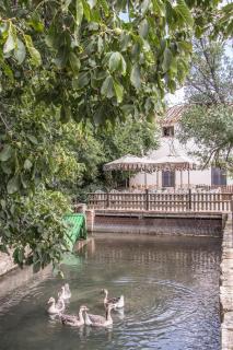 Hotel El Molino - Monreal del Campo - 5