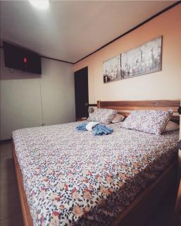 Toucan Hostel - Alajuela - 3