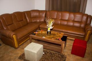 Cabana Andreea Telescaun - Ranca - 3