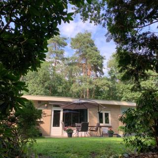 Gouden Hert: relaxen in comfort! #otterlo #hogeveluwe - Otterlo - 2