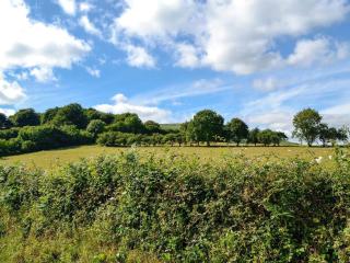 Ty-Gwyn - Abergavenny - 7