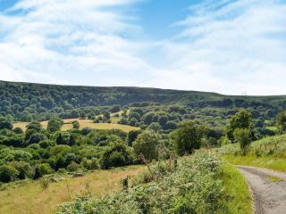 Ty-Gwyn - Abergavenny - 5