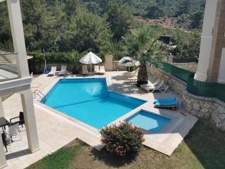 Villa Beatrice Large family villa - 1