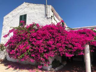 Agroturisme Binisaid NOU - Cala Galdana - 9