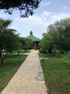 Cirali Armira Bungalow - 1