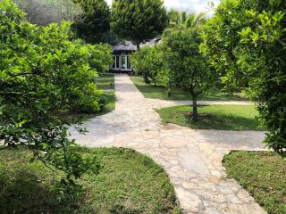 Cirali Armira Bungalow - 3