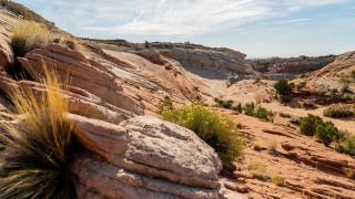 Under Canvas Lake Powell-Grand Staircase - Big Water - 1