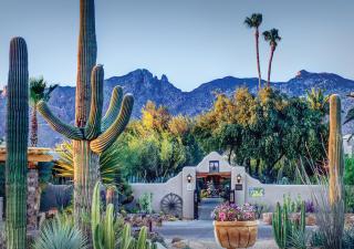 Hacienda del Sol Guest Ranch Resort - 0