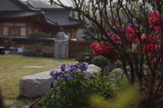 Mirinae Hanok Tradiational House - Gwangyang - 2