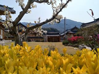 Mirinae Hanok Tradiational House - Gwangyang - 5