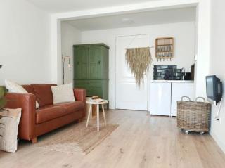 Cosy Tiny House 5 min walk Keukenhof included entrance keukenhof - 8