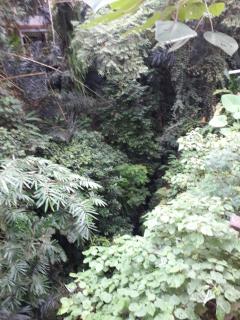 Krisna House - Ubud - 9