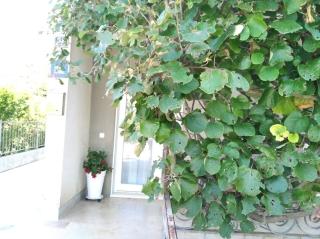 APARTMAN NEŠPULA 2 - Kaštela (Castelli) - 7