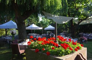 Le Rosenmeer - Hotel Restaurant, au coeur de la route des vins d'Alsace - Rosheim - 8
