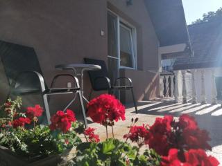 Apartmani Popovic - 8