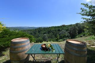 Cascina Flino - Diano dʼAlba - 9