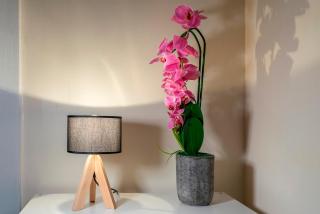 Bright Beautiful Apt in Historical West Belfast - Pass the Keys - Belfast - 4
