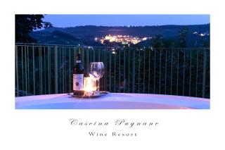 Cascina Pugnane - Castiglione Falletto - 8