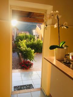 B&B Villa Rosa Angrisano - Maratea - 5