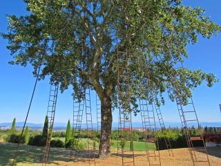 LA RIMESSA EXPERIENCE-Dream Holiday Home - Montaione - 7