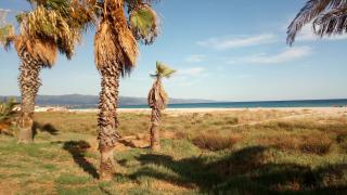 Mistral Sardegna - 7