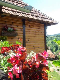 Domacinstvo Prentovic - Čajetina - 9