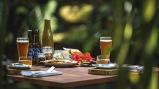 Daintree Ecolodge - 1
