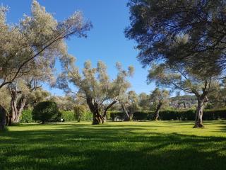 Elaia - Lefkada - 9