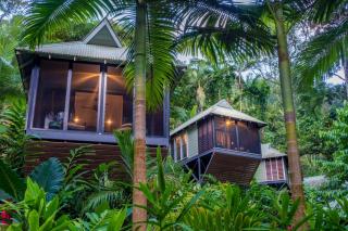 Daintree Ecolodge - Daintree - 0