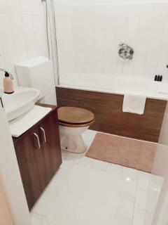 Apartman Centar - Aleksandrovac - 1