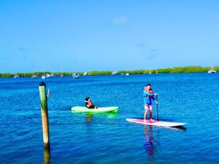 Coconut Palm Inn - Key Largo - 1