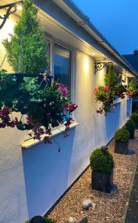 Toppesfield House B&B - 9