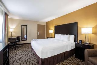 La Quinta by Wyndham Carlsbad - Legoland Area - 9