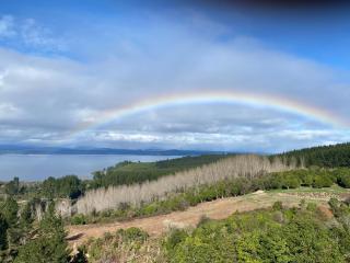 Acacia Cliffs Lodge - Taupo - 1