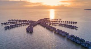 Golden Palm Tree Sepang - 9