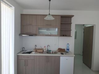 Apartman Nikolic - Veliko Gradiste - 8