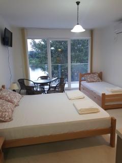 Apartman Nikolic - Veliko Gradiste - 1