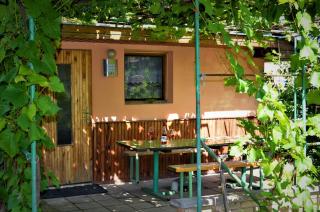 Vinařství Koliba - Čejkovice - 7