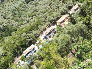 AGIOS NIKITAS DOLPHINS - 5