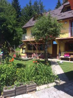 Apartmani Miletic Kopaonik - Kopaonik - 2