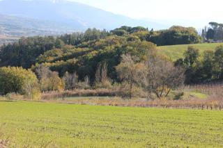 Agriturismo La Ginestrella - 2