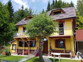 Apartmani Miletic Kopaonik - Kopaonik - 5