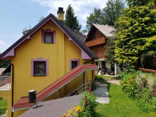 Apartmani Miletic Kopaonik - Kopaonik - 1