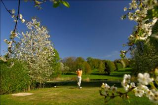 Pension Rose - Bretzfeld - 4