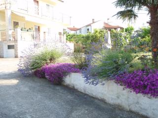 Guest House Jasmin - Rovinj - 0