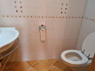 Apartmaji Sitar - Ribnica na Pohorju - 6