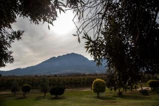 Bergsicht Country Farm Cottages - Tulbagh - 6