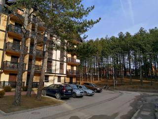 Apartman Aleksandar - Zlatibor - 0