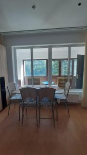 Monik apartament - Sinaia - 7